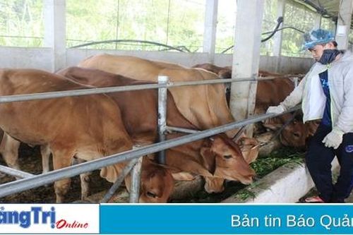 Thúc đẩy phát triển chuỗi giá trị gắn với sản phẩm nông nghiệp chủ lực