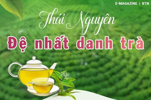 Thái Nguyên đệ nhất danh trà