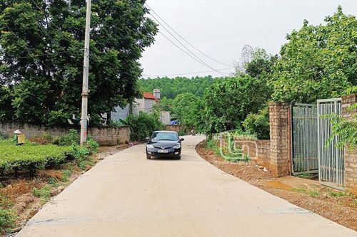 Tháng Chín, về Cây Thị Anh hùng