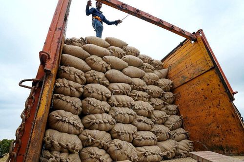Ấn Độ: Cho phép xuất khẩu các lô gạo tẻ đã đóng thuế, cấp hạn ngạch xuất khẩu gạo