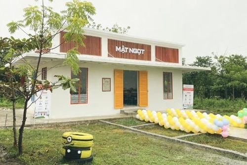Thư viện Mật Ngọt: Không gian học tập xanh cho học sinh vùng cao tại tỉnh Ninh Thuận