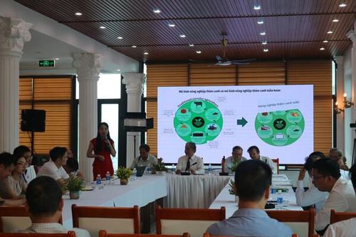 Đảm bảo an ninh lương thực và chiến lược phát triển nông nghiệp Việt Nam
