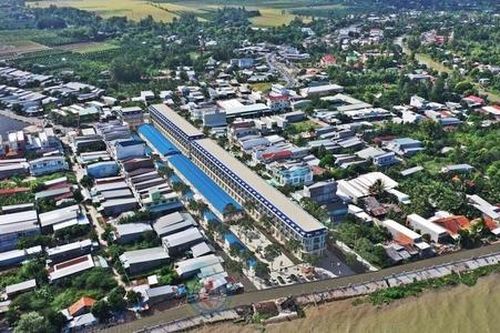 Nông dân Lai Vung vững tin vào kinh tế hợp tác đưa vùng cây ăn trái đi lên
