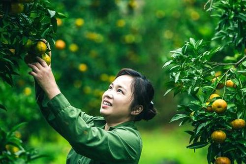 Chậm mà chắc trong xây dựng nông thôn mới ở Bắc Sơn