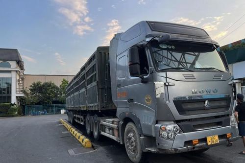 CSGT tuần tra đêm, xử lý hàng loạt container cắt nóc