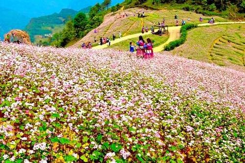Bung biêng tam giác mạch nơi thượng nguồn sông Chảy