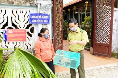 Kiếm lâm Thừa Thiên - Huế đến tận chùa vận động không mua bán chim phóng sinh