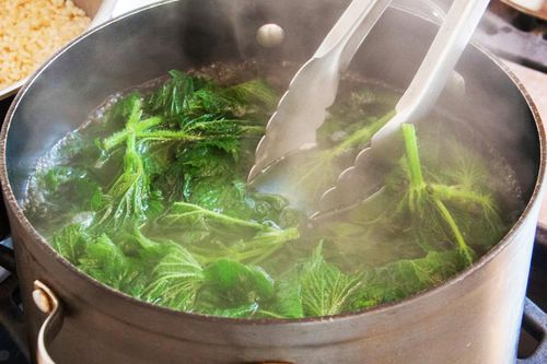Nên đậy hay mở vung khi luộc rau?