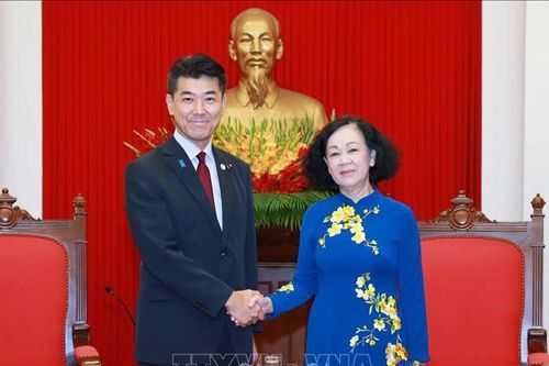 Việt Nam - Nhật Bản tăng cường hợp tác toàn diện trong các lĩnh vực