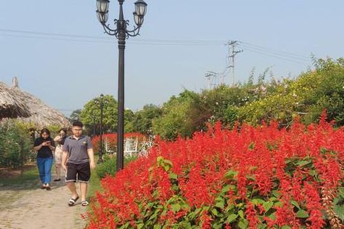 Thời tiết miền Bắc thuận lợi cho người dân tham gia các hoạt động ngoài trời