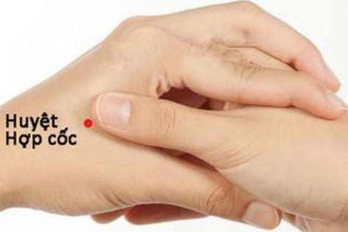 Day bấm huyệt phòng chống say tàu xe
