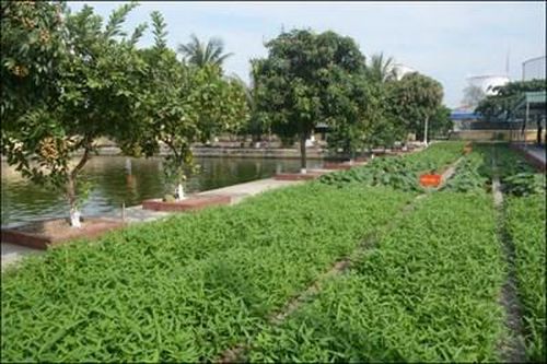 Chính quy, xanh, sạch, đẹp ở Hải đoàn Biên phòng 38