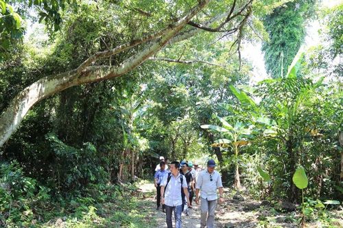 Đến với Cồn Cỏ hôm nay