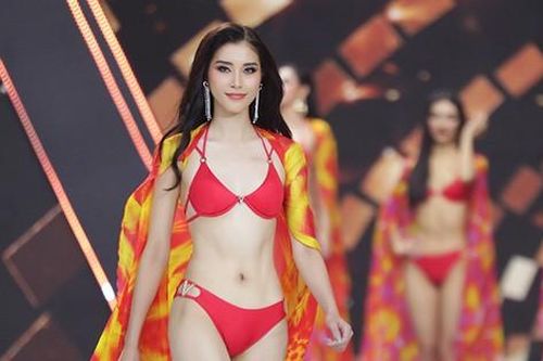 Từ 'hoa khôi bóng chuyền' đến Hoa hậu Hoàn vũ