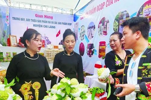 Loài cây biến đá thành vàng