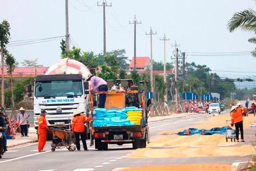 Dân đua nhau 'chiếm' đường hơn 370 tỷ đồng làm sân phơi lúa