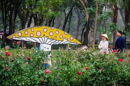 Sự đổi thay từ 'lá phổi xanh' giữa trung tâm Thủ đô