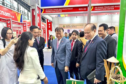 Hàng Việt: Đa dạng mẫu mã, gia tăng thị phần tại các kênh phân phối
