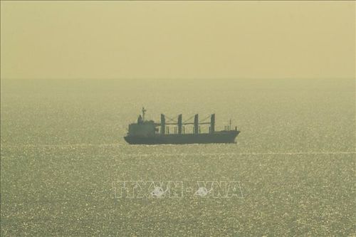 Thêm hai tàu chở hàng rời cảng Odessa