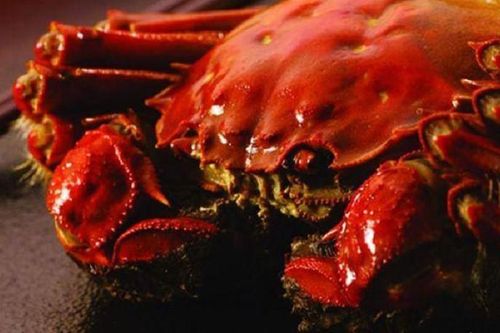 Cua 'nhà giàu' từ Trung Quốc 'bay về' Việt Nam, giá hàng triệu đồng/kg vẫn được lùng mua