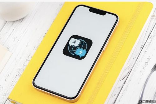 Cách dùng ứng dụng dịch tích hợp sẵn trong iOS