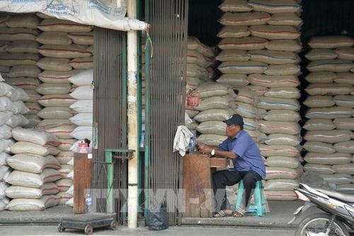 ASEAN - thị trường xuất khẩu quan trọng có tiềm năng lớn