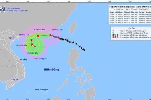 Dự báo trong tháng 9, xuất hiện 2 - 3 cơn bão trên Biển Đông
