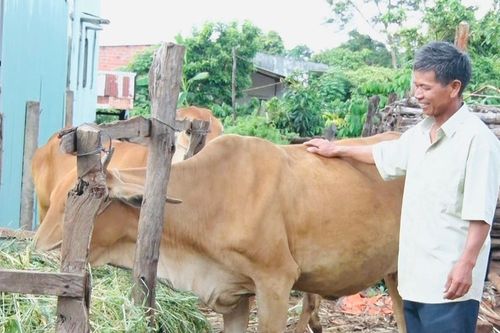 Hòa giải viên uy tín ở Ia Pal