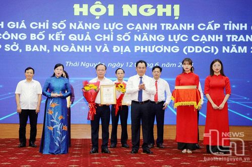 Tập trung nâng cao kỹ năng số để phát triển Chính phủ số