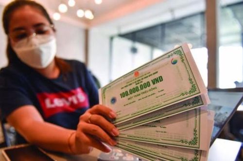 Phú Thọ Land: Tăng sốc vốn từ 20 tỷ đồng trước thềm phát hành trái phiếu 1.900 tỷ đồng