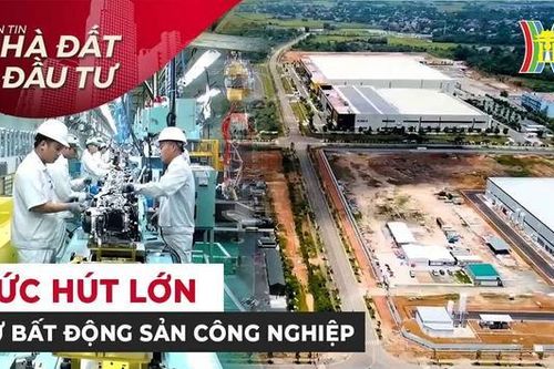 Bản tin Nhà đất và đầu tư | 02/09/2023