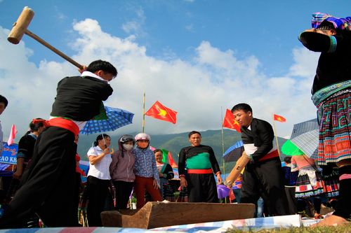 Lên Lai Châu xem người H'Mông thi giã bánh dày