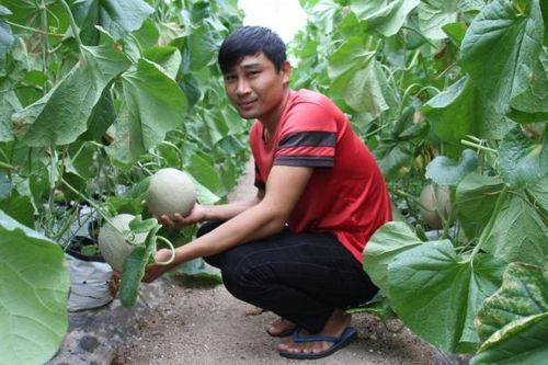 Gia Lai: Nông dân vùng khó thu nhập khủng nhờ bắt tay làm nông nghiệp công nghệ cao