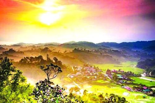 Sẽ có một Măng Đen 'phố trong rừng'