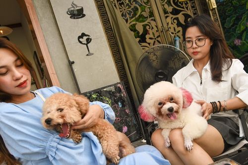 Các quán cà phê ven hồ Tây đông đúc khách ngày Quốc khánh