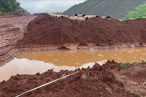 Bình Phước: Điều tra, làm rõ nguyên nhân khiến 2 người tử vong