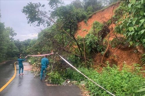 Tuyến đường nối Bình Phước và Lâm Đồng sạt lở nghiêm trọng