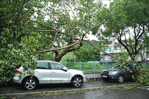 Trung Quốc duy trì ứng phó bão lũ khẩn cấp ở nhiều tỉnh miền Nam