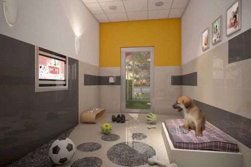 Có gì trong siêu khách sạn dành cho thú cưng tại Disney World?