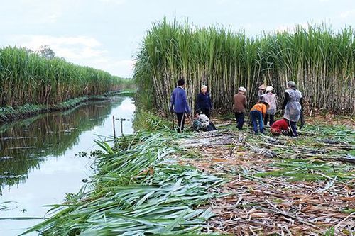 Ngăn chặn tình trạng nâng giá đường để trục lợi