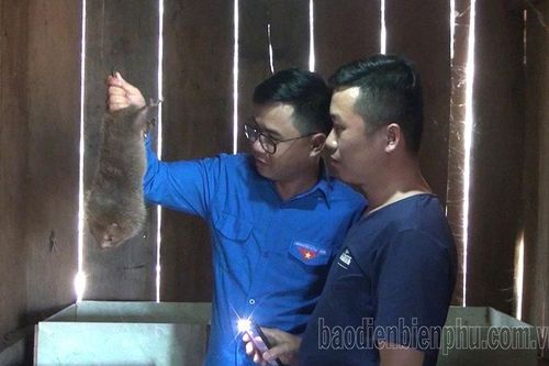 Ðảng viên tiên phong phát triển kinh tế