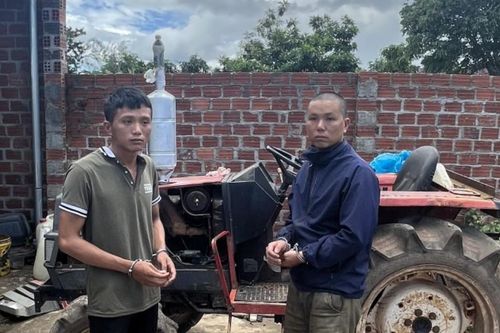Mang Yang: Bắt tạm giam 2 anh em ruột trộm xe máy cày