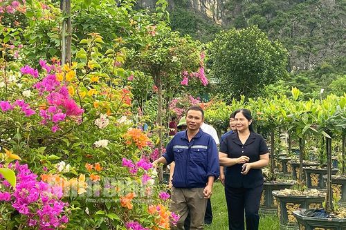 Gia Lâm: Phát triển nhiều mô hình trồng hoa, cây cảnh