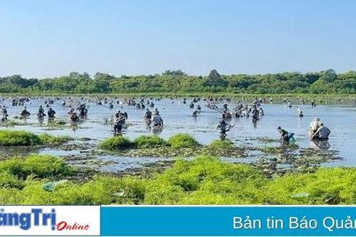 Lễ hội 'Phá Trằm' Trà Lộc năm 2023