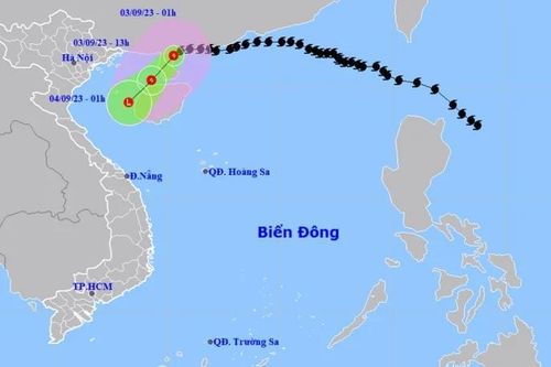 Bão Saola suy yếu, Nam Bộ có nơi mưa to