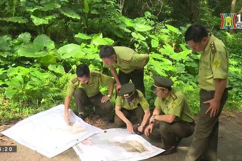 Kiểm lâm vùng giáp ranh| Tạp chí Kiểm lâm| 3/9/2023