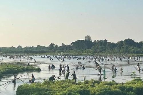 Gần 10.000 người tham gia lễ hội 'Phá trằm' Trà Lộc