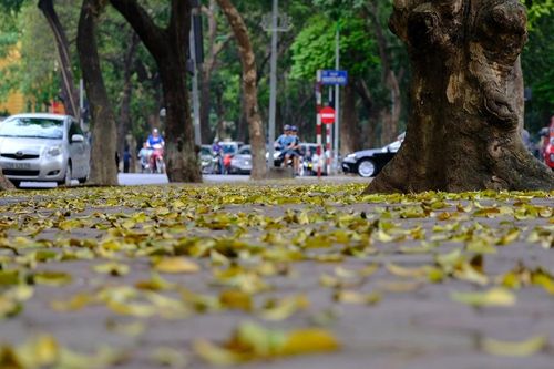 Đẹp nao lòng Hà Nội vào Thu