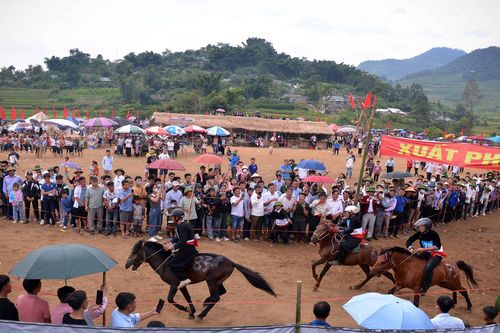 Xem nông dân đua ngựa thồ trên rẻo cao Tả Lèng