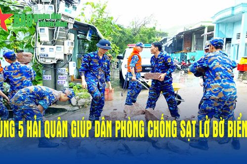 Vùng 5 Hải quân giúp dân phòng chống sạt lở bờ biển